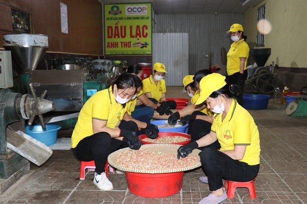 Các cơ sở sản xuất kinh doanh của hội viên Hội phụ nữ Hà Tĩnh tạo việc làm cho lao động nữ địa phương. Ảnh: Hoàng Ngà - TTXVN Các cơ sở sản xuất kinh doanh của hội viên Hội phụ nữ Hà Tĩnh tạo việc làm cho lao động nữ địa phương. Ảnh: Hoàng Ngà - TTXVN