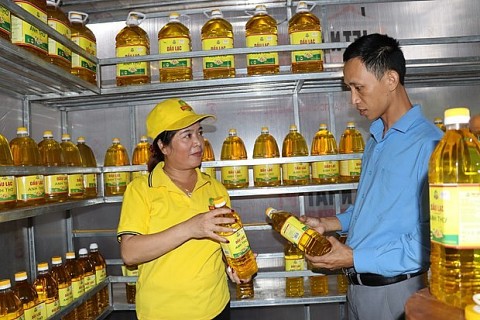 ha tinh hoi phu nu khoi nghiep cung cac mo hinh ocop