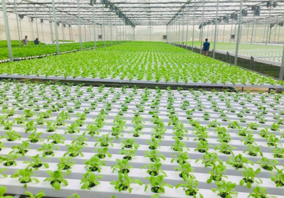 “Ý đảng, lòng dân” trong xây dựng nông thôn mới ở Bình Thuận