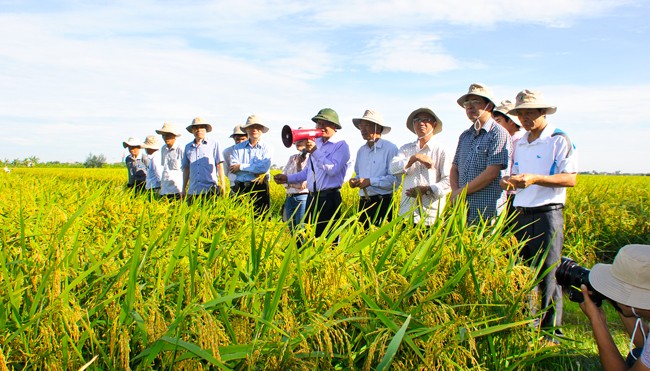 Quỹ Khuyến nông Hà Nội - điểm tựa cho nông dân