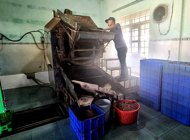 Máy rang hạt điều công nghiệp được hỗ trợ vốn từ Chương trình khuyến công quốc gia của Công ty Cổ phần Xuất Nhập khẩu Hưng Phát Ninh Thuận (thị trấn Khánh Hải, huyện Ninh Hải). Máy rang hạt điều công nghiệp được hỗ trợ vốn từ Chương trình khuyến công quốc gia của Công ty Cổ phần Xuất Nhập khẩu Hưng Phát Ninh Thuận (thị trấn Khánh Hải, huyện Ninh Hải).