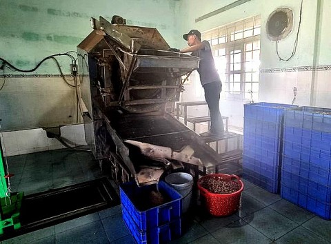ninh thuan chuong trinh khuyen cong giup doanh nghiep nang cao nang luc san xuat