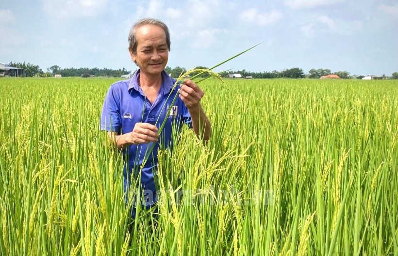 Nâng cao giá trị sản phẩm Nâng cao giá trị sản phẩm