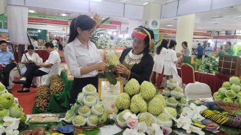 Sắp diễn ra “Hội chợ xúc tiến thương mại nông nghiệp, sản phẩm OCOP Hà Nội 2023”