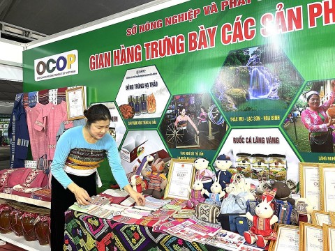 Hoà Bình: Phát triển nghề dệt thổ cẩm kết hợp giữ gìn bản sắc dân tộc theo hướng công nghiệp hóa, hiện đại hóa