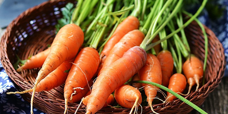 Những lợi ích tuyệt vời của cà rốt đối với sức khỏe