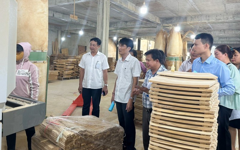 Bình Định: Thực hiện nhiều biện pháp hỗ trợ cơ sở sản xuất