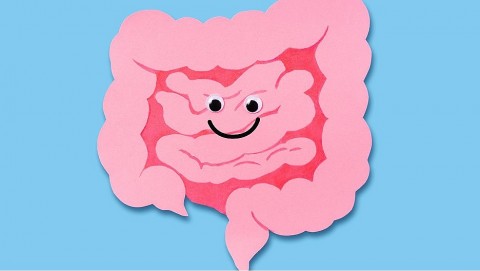 Bạn có biết “hệ thần kinh ruột" giống như bộ não thứ hai của con người?