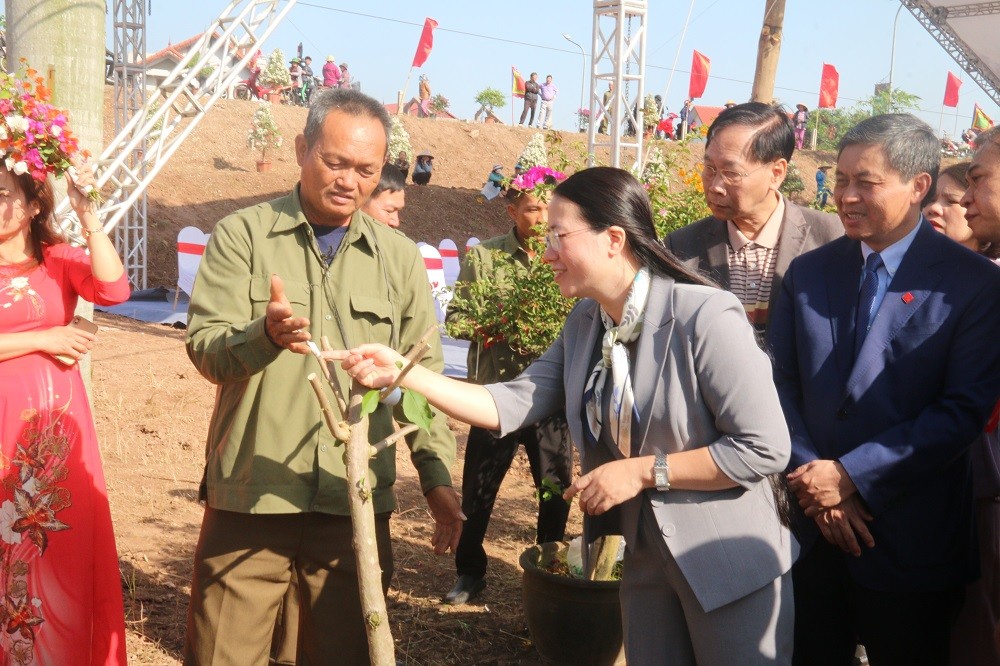 Lễ hội cây cảnh, hoa giấy Phù Đổng: Sắc hoa trên miền di sản Lễ hội cây cảnh, hoa giấy Phù Đổng: Sắc hoa trên miền di sản