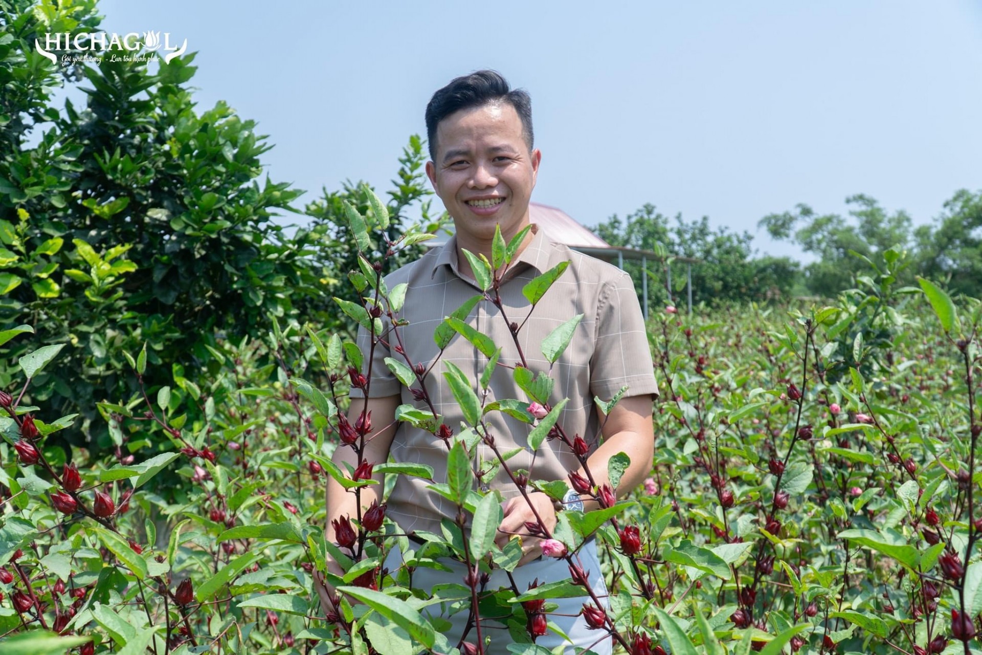 Thừa Thiên Huế: Khai thác tiềm năng cây 