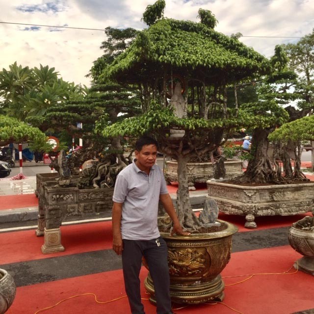 Những nghệ nhân sinh vật cảnh tạo hàng 