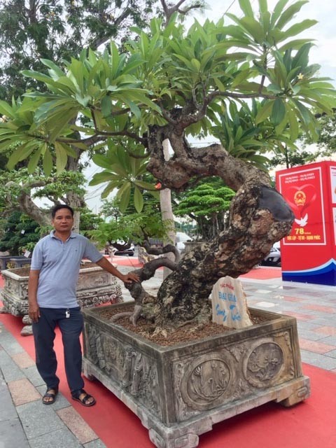 Những nghệ nhân sinh vật cảnh tạo hàng 