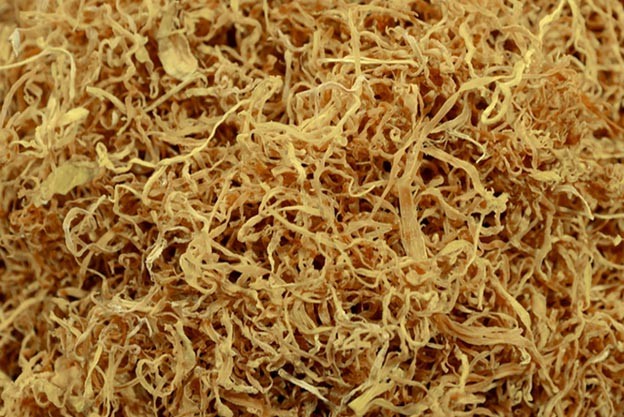 Nhớ mãi canh măng mực Bát Tràng Nhớ mãi canh măng mực Bát Tràng