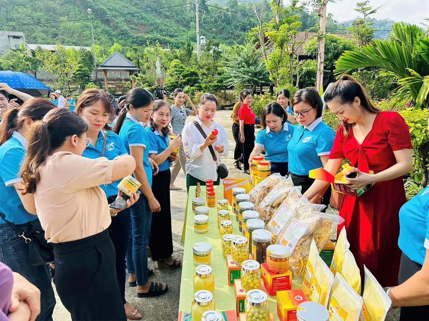 Bắc Kạn: đẩy mạnh xúc tiến, tiêu thụ sản phẩm OCOP