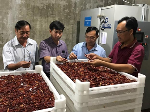 Nghiệm thu Đề án “Hỗ trợ ứng dụng máy móc thiết bị tiên tiến trong chế biến Ớt” tại HTX Nông nghiệp hữu cơ Ngũ Lạc. Nghiệm thu Đề án “Hỗ trợ ứng dụng máy móc thiết bị tiên tiến trong chế biến Ớt” tại HTX Nông nghiệp hữu cơ Ngũ Lạc.