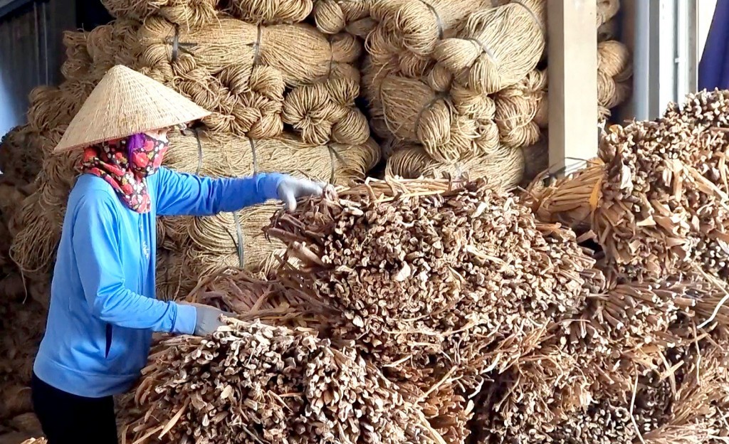 Phú Xuyên (Hà Nội): Xây dựng nông thôn mới mang đến cuộc sống ấm no, hạnh phúc cho nhân dân