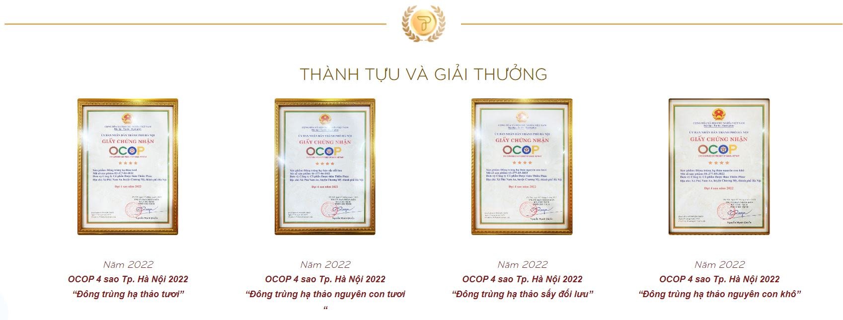 Câu chuyện “nấm vàng” đông trùng hạ thảo của Thiên Phúc Câu chuyện “nấm vàng” đông trùng hạ thảo của Thiên Phúc