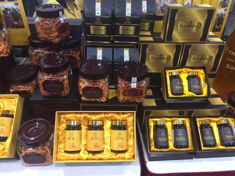 Câu chuyện “nấm vàng” đông trùng hạ thảo của Thiên Phúc Câu chuyện “nấm vàng” đông trùng hạ thảo của Thiên Phúc