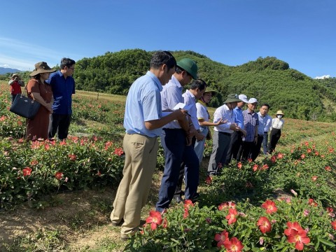 Thừa Thiên Huế: Gắn giảm nghèo bền vững với xây dựng nông thôn mới