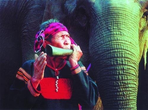 Những cuộc tình truyền kỳ của “Vua voi” Ama Kông