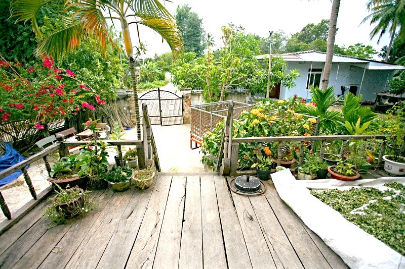 Những cuộc tình truyền kỳ của “Vua voi” Ama Kông