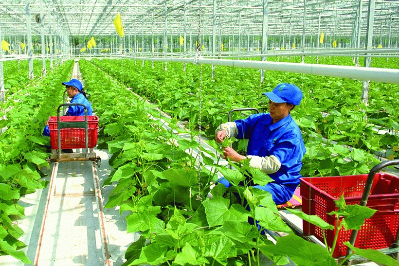 Thực trạng và giải pháp thương mại điện tử của các cơ sở công nghiệp nông thôn tại các làng nghề hiện nay Thực trạng và giải pháp thương mại điện tử của các cơ sở công nghiệp nông thôn tại các làng nghề hiện nay