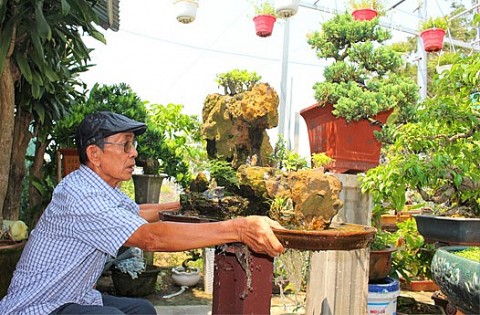 Tài hoa của một cựu chiến binh trong nghề sinh vật cảnh