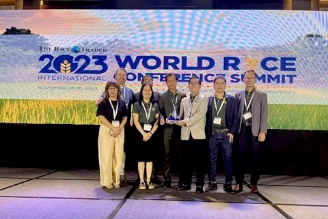 gao viet nam duoc vinh danh gao ngon nhat the gioi