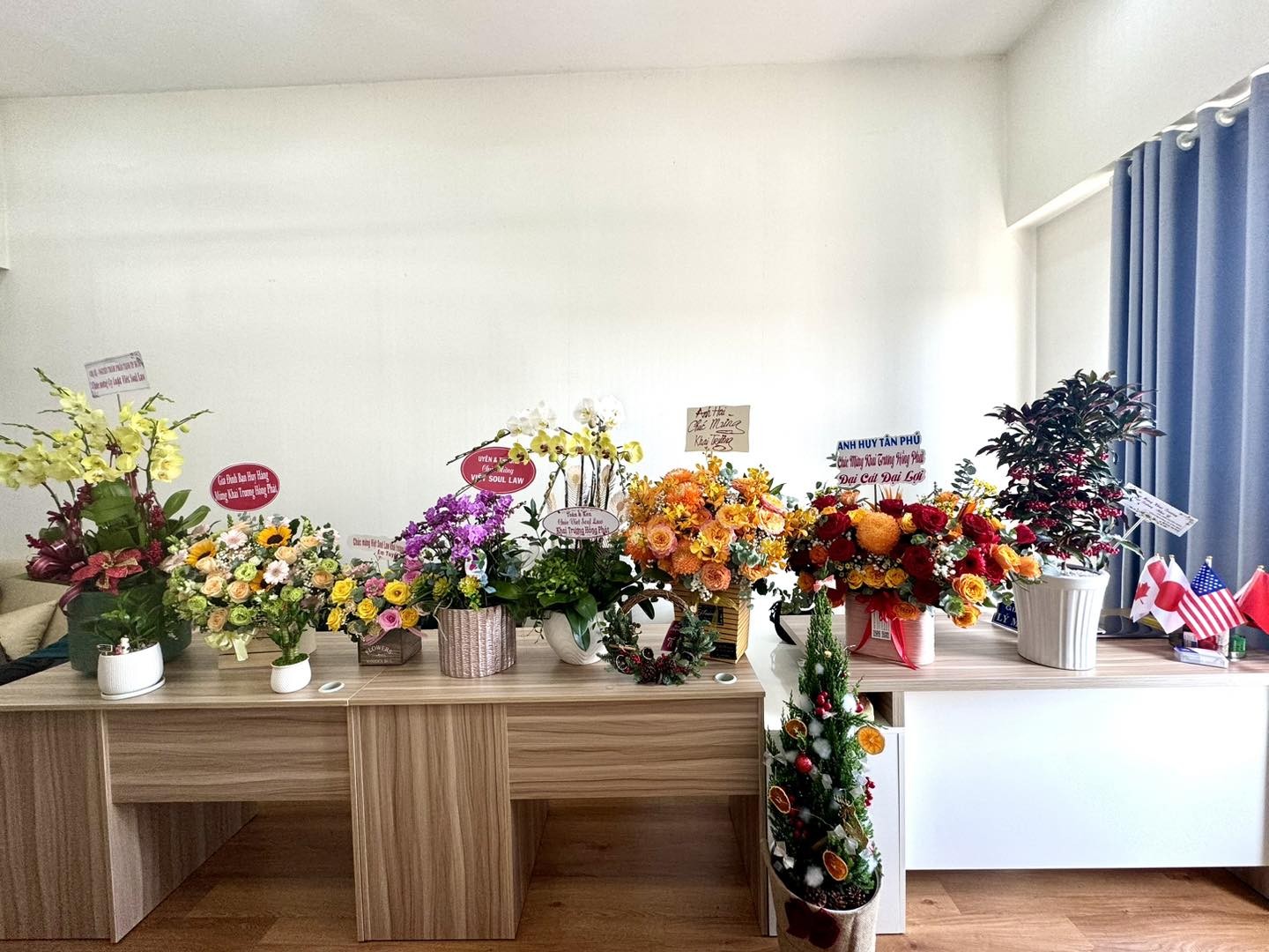 Khai trương Công ty Luật TNHH Việt Soul Law