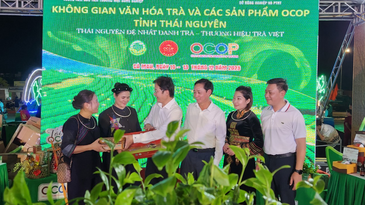 Đặc sản Trà Thái Nguyên: Hội tụ tinh hoa đất trời tại Đồng bằng sông Cửu Long Đặc sản Trà Thái Nguyên: Hội tụ tinh hoa đất trời tại Đồng bằng sông Cửu Long