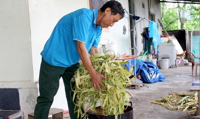 Vỏ cây niệt sau khi tách sẽ cho vào nồi nước vôi luộc kỹ trong vòng 1 ngày. Vỏ cây niệt sau khi tách sẽ cho vào nồi nước vôi luộc kỹ trong vòng 1 ngày.