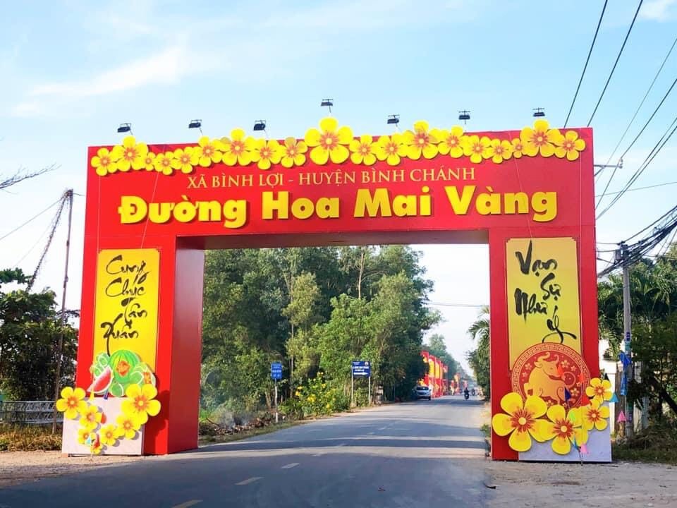 UBND huyện Bình Chánh tổ chức đường hoa Mai vàng Bình Lợi dịp Tết Nguyên đán Quý Mão năm 2023 nhằm giới thiệu giống mai đẹp của địa phươngnăm 2023 nhằm giới thiệu giống mai đẹp của địa phươn UBND huyện Bình Chánh tổ chức đường hoa Mai vàng Bình Lợi dịp Tết Nguyên đán Quý Mão năm 2023 nhằm giới thiệu giống mai đẹp của địa phươngnăm 2023 nhằm giới thiệu giống mai đẹp của địa phươn