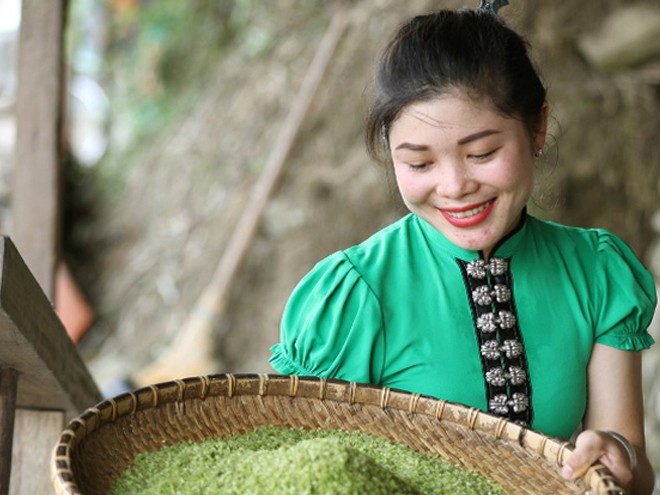 Nếp Tú lệ Nếp Tú lệ