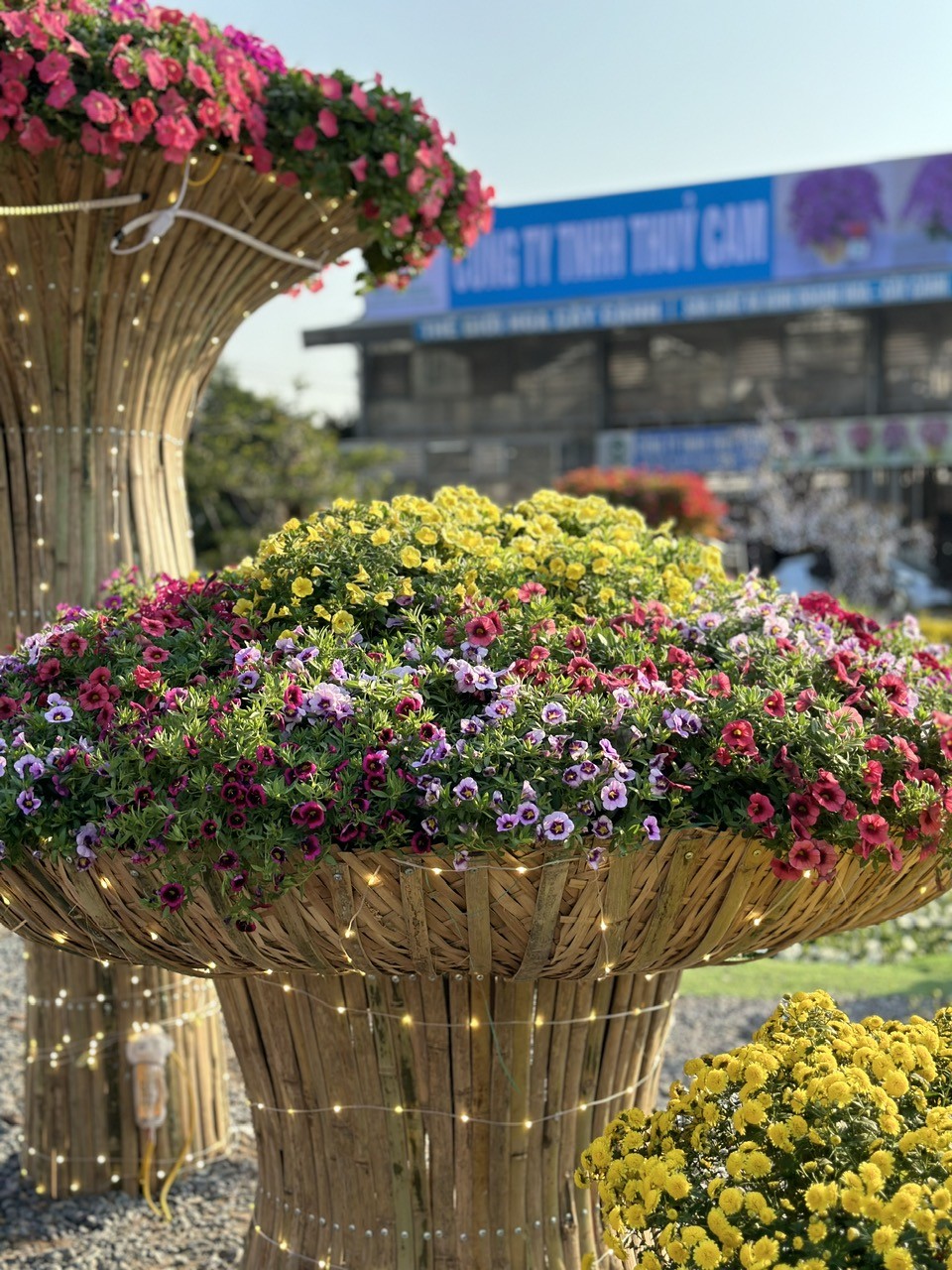 Khai mạc Lễ hội hoa Xuân Quan năm 2023 Khai mạc Lễ hội hoa Xuân Quan năm 2023