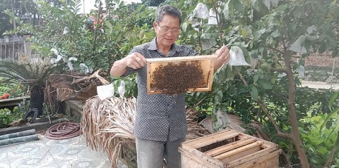 xa duc lang duc tho ha tinh hieu qua tu mo hinh nuoi ong lay mat