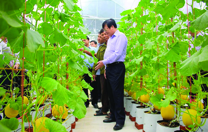 Nông thôn mới Hà Tĩnh: Chạy nước rút Nông thôn mới Hà Tĩnh: Chạy nước rút