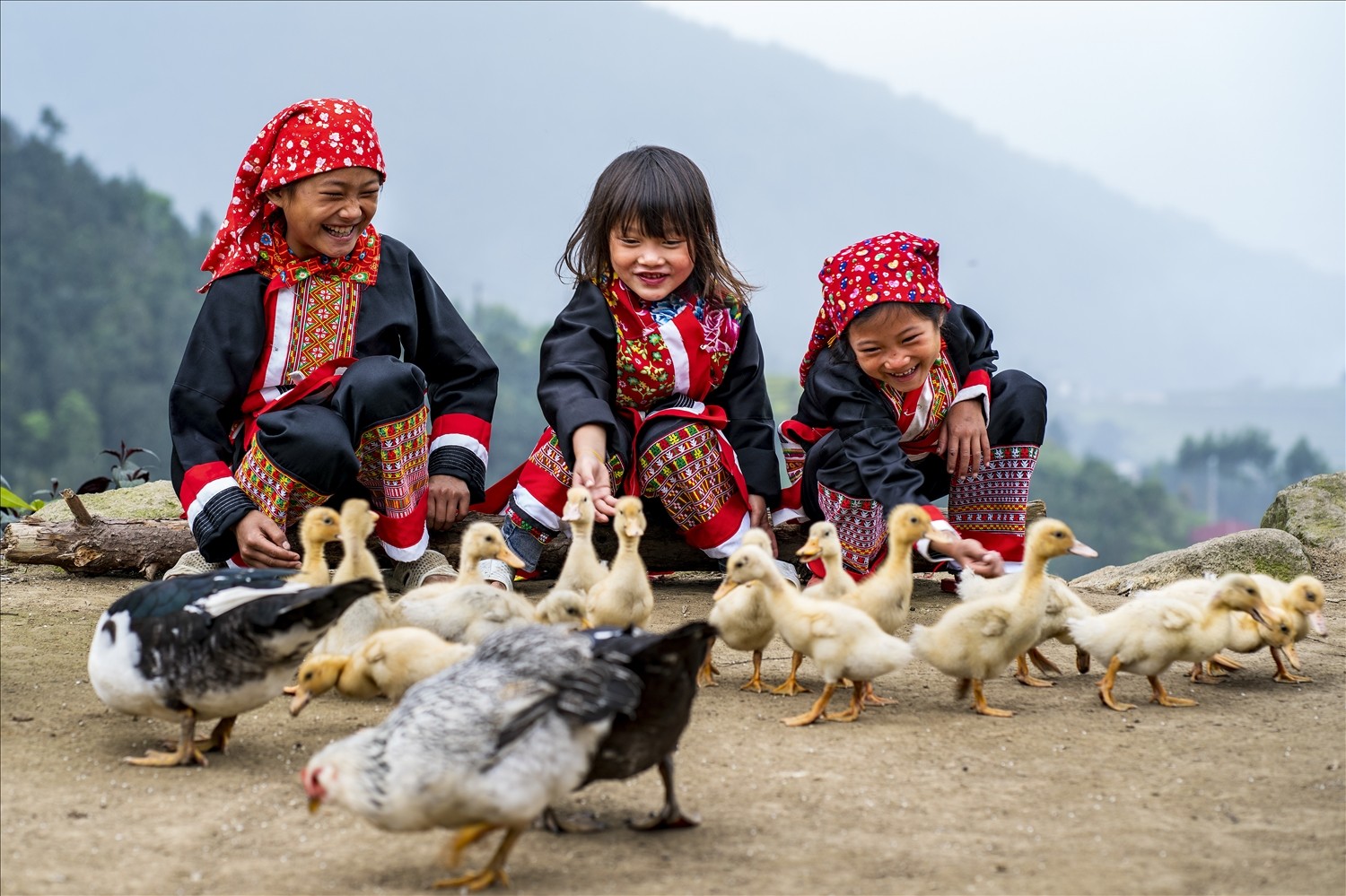 Quảng Ninh: Hoàn thành xây dựng nông thôn mới Quảng Ninh: Hoàn thành xây dựng nông thôn mới