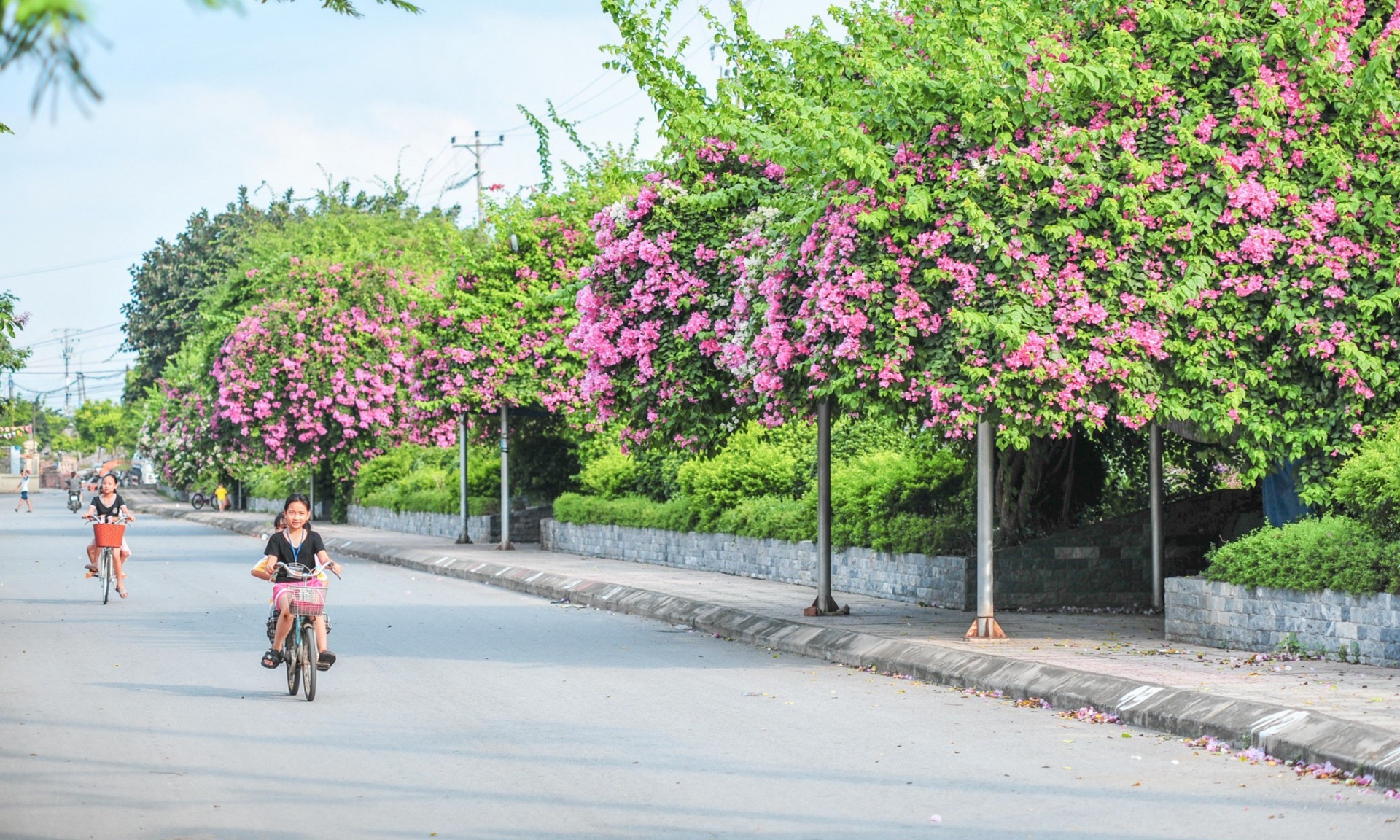 Nhiều tuyến đường khang trang sạch đẹp tại huyện Đan Phượng Nhiều tuyến đường khang trang sạch đẹp tại huyện Đan Phượng