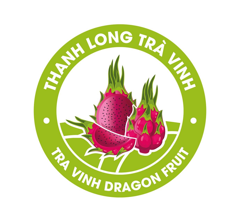 Trà Vinh: Xây dựng nhãn hiệu chứng nhận cho thanh long ruột đỏ Trà Vinh: Xây dựng nhãn hiệu chứng nhận cho thanh long ruột đỏ