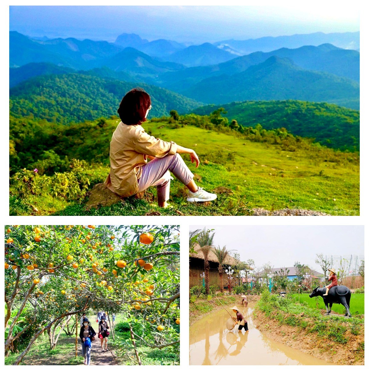 Nông thôn mới Quảng Ninh: Hoàn thành xây dựng nông thôn mới Nông thôn mới Quảng Ninh: Hoàn thành xây dựng nông thôn mới