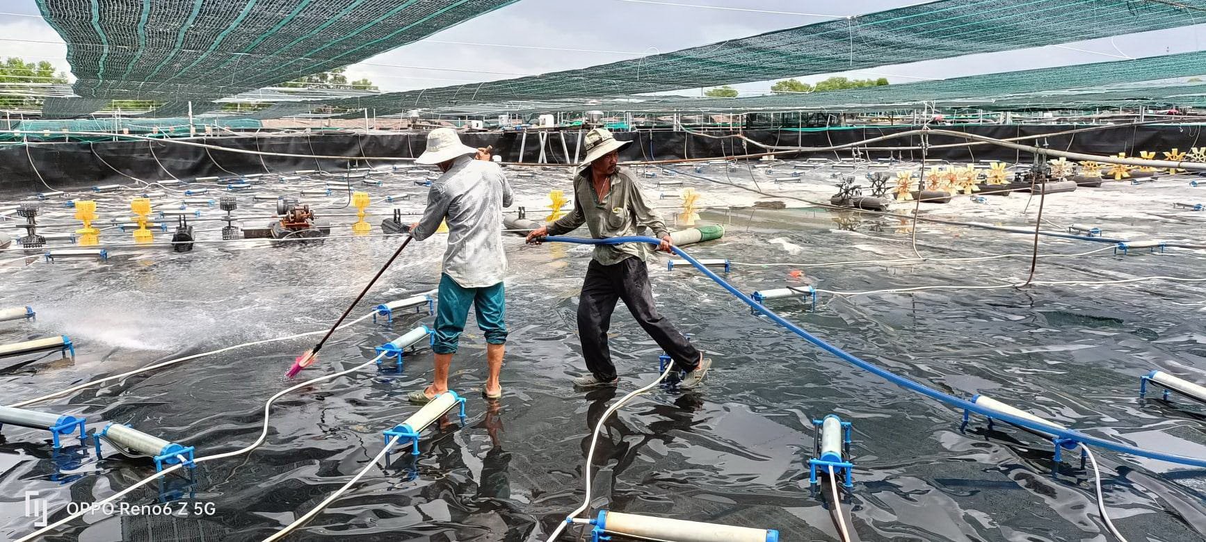 Nhờ ứng dụng tiến bộ khoa học, công nghệ cao, các cơ sở có thể kiểm soát được dịch hại, tăng số vụ sản xuất trong năm. Trong ảnh: Người lao động cơ sở Farm Liên Giang (xã An Ngãi, huyện Long Điền) vệ sinh ao nuôi tôm công nghệ cao trước khi vào vụ mới. Nhờ ứng dụng tiến bộ khoa học, công nghệ cao, các cơ sở có thể kiểm soát được dịch hại, tăng số vụ sản xuất trong năm. Trong ảnh: Người lao động cơ sở Farm Liên Giang (xã An Ngãi, huyện Long Điền) vệ sinh ao nuôi tôm công nghệ cao trước khi vào vụ mới.