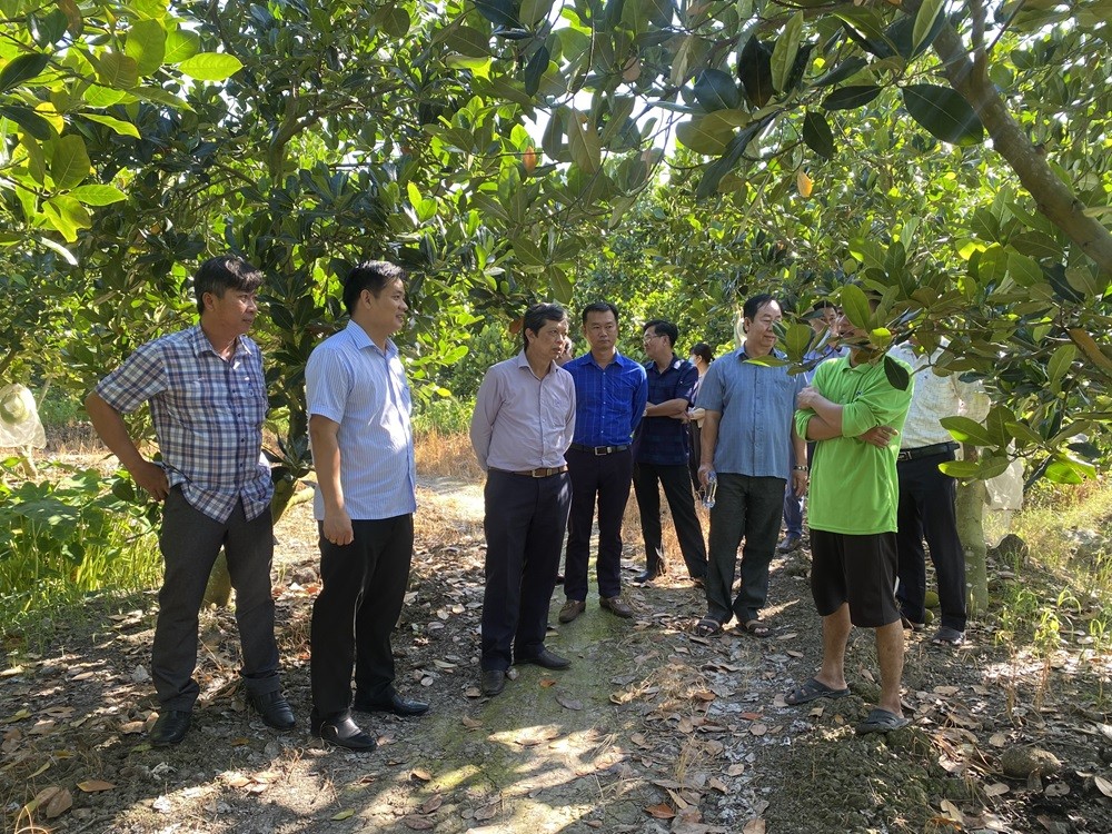 Mô hình vườn chuyên canh mít tại ấp Mỹ Điền diện tích gần 3ha ấp dụng tốt các giải pháp KHKT vào sản xuất đã trồng được 5 năm, thu hoạch 2 năm, hàng năm cho lợi nhuận gần 1 tỷ đồng