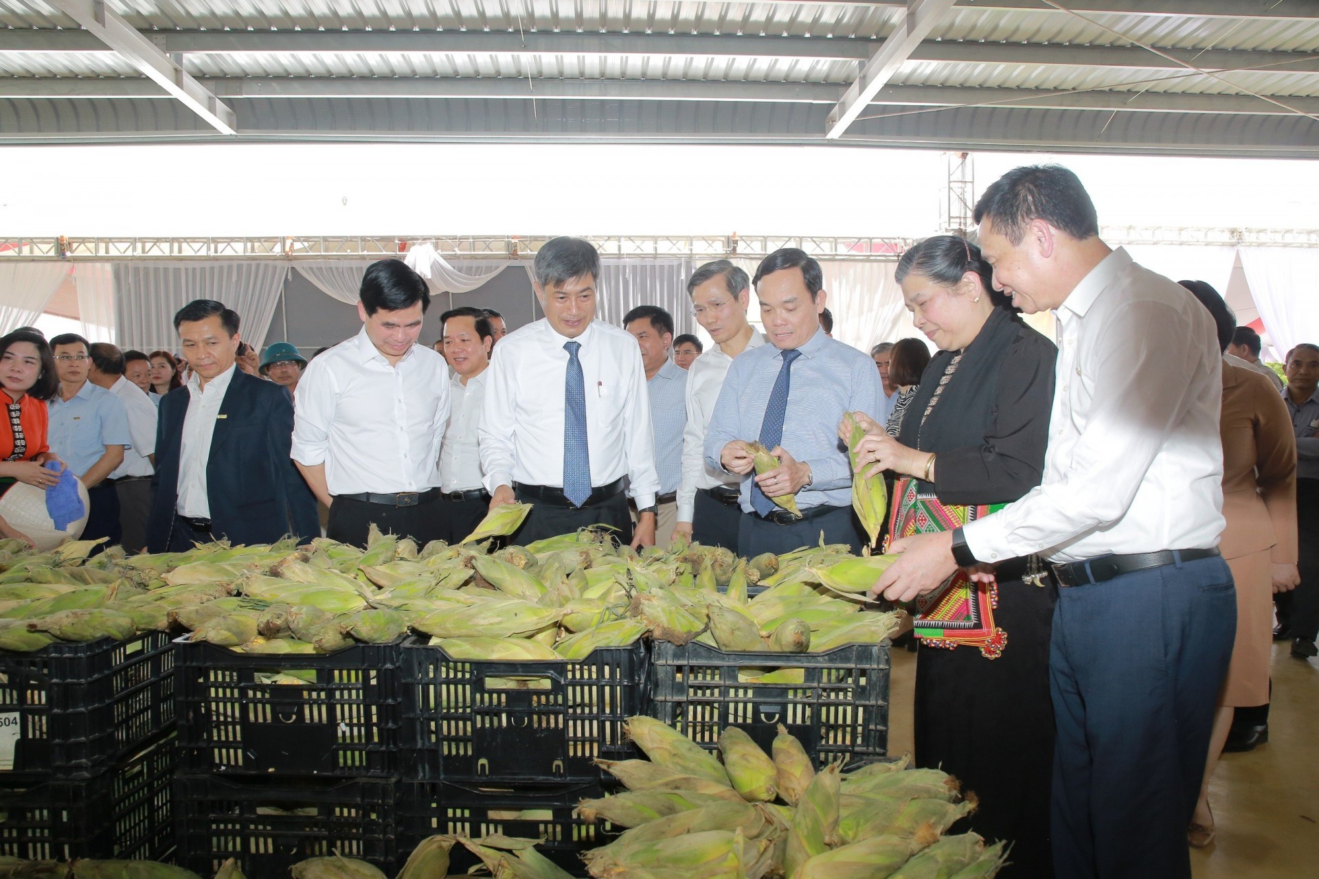 Khai thác tối đa tiềm năng xây dựng nông thôn mới Sơn La phát triển nhanh, xanh và bền vững