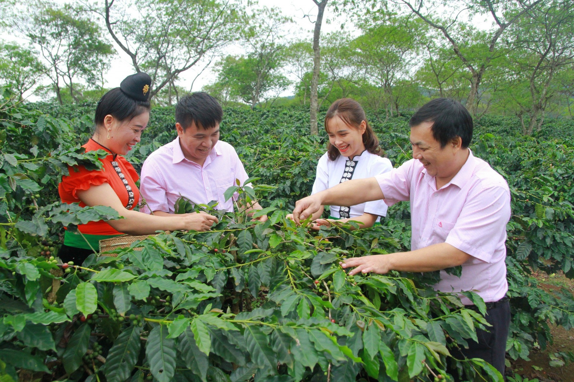 Khai thác tối đa tiềm năng xây dựng nông thôn mới Sơn La phát triển nhanh, xanh và bền vững
