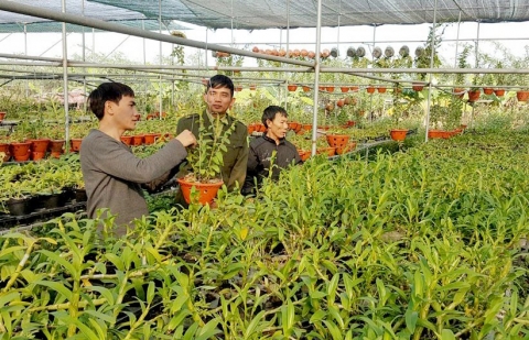 Nhân rộng những mô hình khuyến nông hiệu quả