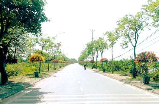 Thanh Trì - điểm sáng trong xây dựng nông thôn mới kiểu mẫu Thanh Trì - điểm sáng trong xây dựng nông thôn mới kiểu mẫu