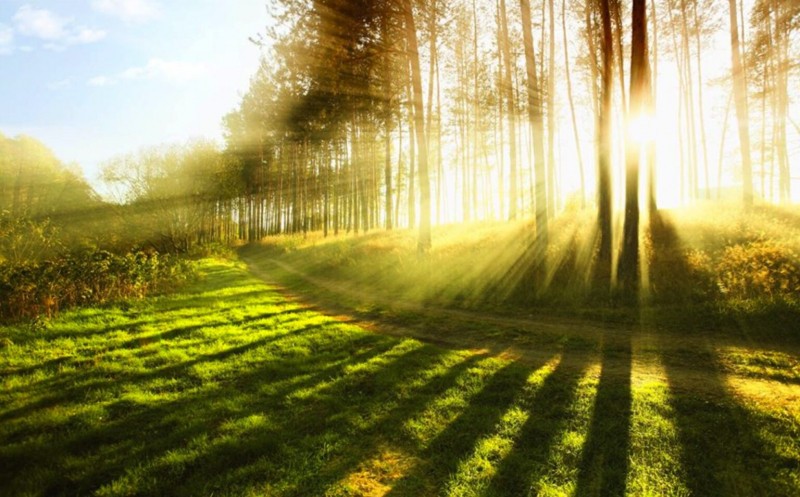 Vạt nắng mùa đông