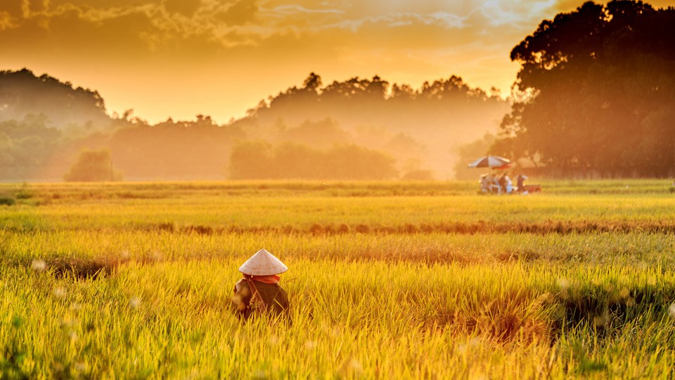 Vạt nắng mùa đông