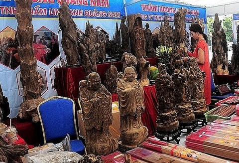 Lễ hội mua sắm Tết Giáp Thìn ngành gỗ