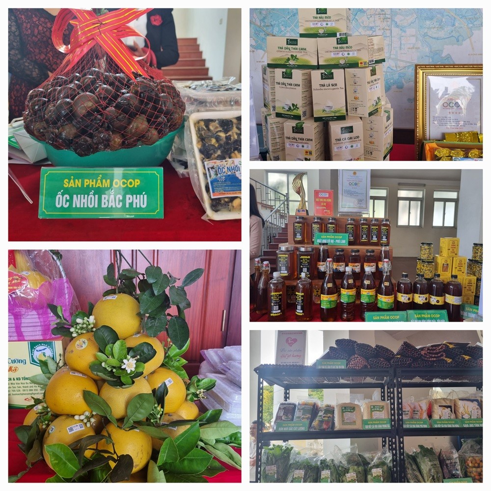 Sóc Sơn: Tổng giá trị sản xuất các ngành kinh tế huyện ước tăng 8,66% Sóc Sơn: Tổng giá trị sản xuất các ngành kinh tế huyện ước tăng 8,66%